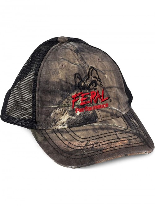 Baseball Caps Trucker Hat - Mossy Oak - CS192AIUT5Z $20.96