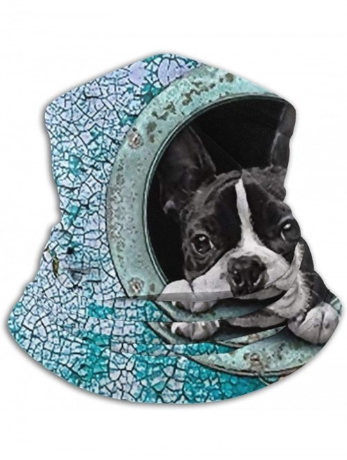 Balaclavas Neck Gaiter Headwear Face Sun Mask Magic Scarf Bandana Balaclava - New Cute Boston Terrier - CF1979MXR8S $21.72