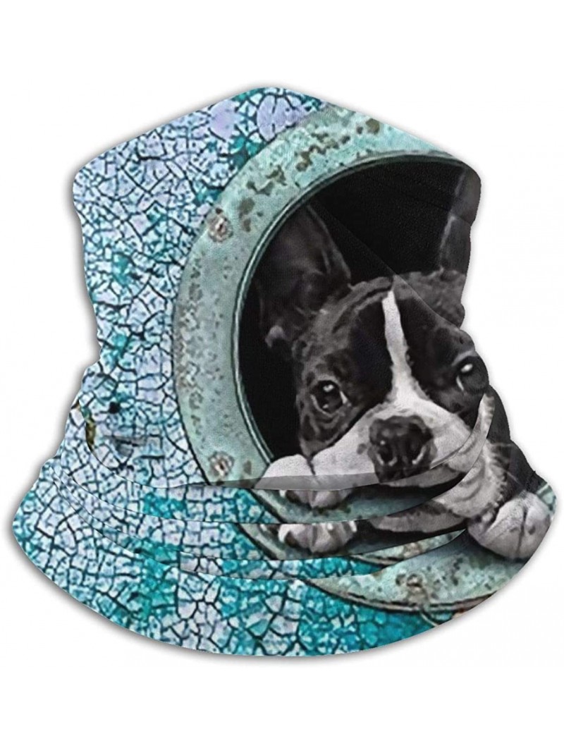 Balaclavas Neck Gaiter Headwear Face Sun Mask Magic Scarf Bandana Balaclava - New Cute Boston Terrier - CF1979MXR8S $21.72