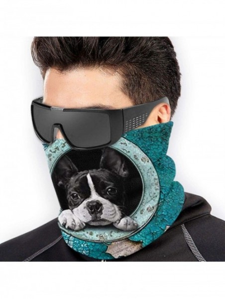 Balaclavas Neck Gaiter Headwear Face Sun Mask Magic Scarf Bandana Balaclava - New Cute Boston Terrier - CF1979MXR8S $21.72