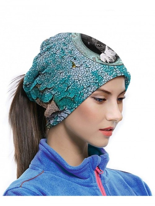 Balaclavas Neck Gaiter Headwear Face Sun Mask Magic Scarf Bandana Balaclava - New Cute Boston Terrier - CF1979MXR8S $21.72