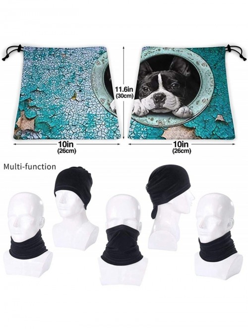 Balaclavas Neck Gaiter Headwear Face Sun Mask Magic Scarf Bandana Balaclava - New Cute Boston Terrier - CF1979MXR8S $21.72