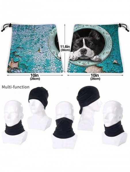 Balaclavas Neck Gaiter Headwear Face Sun Mask Magic Scarf Bandana Balaclava - New Cute Boston Terrier - CF1979MXR8S $21.72