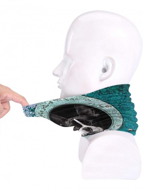 Balaclavas Neck Gaiter Headwear Face Sun Mask Magic Scarf Bandana Balaclava - New Cute Boston Terrier - CF1979MXR8S $21.72