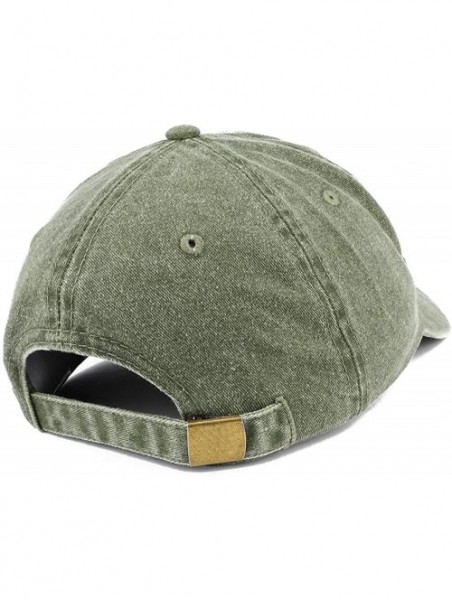 Baseball Caps Established 1973 Embroidered 47th Birthday Gift Pigment Dyed Washed Cotton Cap - Olive - CT180MZIMWI $27.07