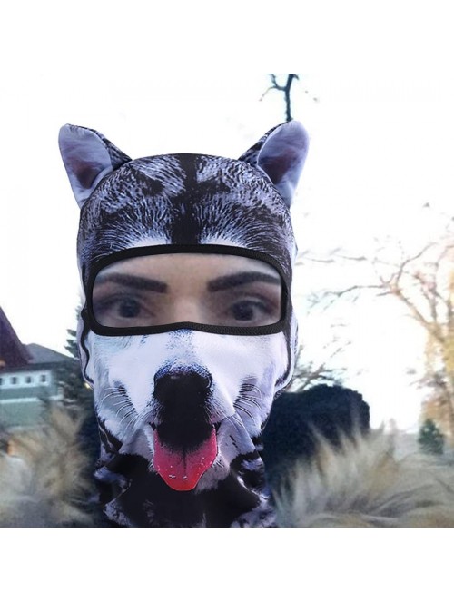 Balaclavas Cat Mask- Women Men Balaclava Summer Full Face Hat Animal Ears Sports Helmet Climbing Fishing Cap - Colorful-1 - C...