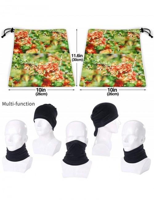 Balaclavas Spring Non Slip Seamless Dust Men & Women Face Mask For Outdoor Sports Neck Gaiter Cover Scarf Bandana Balaclava -...