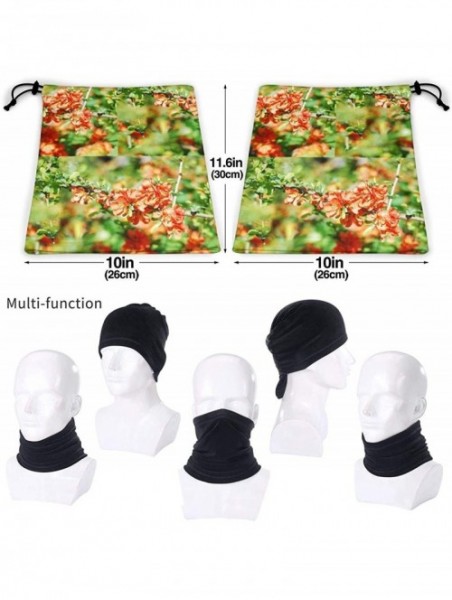 Balaclavas Spring Non Slip Seamless Dust Men & Women Face Mask For Outdoor Sports Neck Gaiter Cover Scarf Bandana Balaclava -...